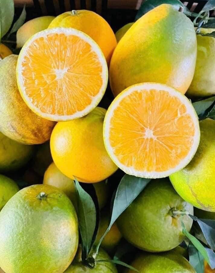Dịch Vụ Bán Nông Sản Mộc Châu