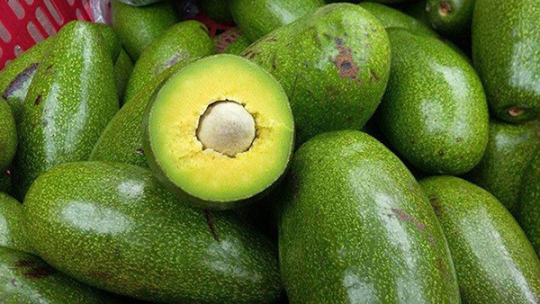Dịch Vụ Bán Nông Sản Mộc Châu