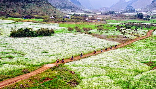 Du lịch mùa thu Mộc Châu & lưu trú tại khách sạn Trường Giang Du lịch mùa thu Mộc Châu & lưu trú tại khách sạn Trường Giang