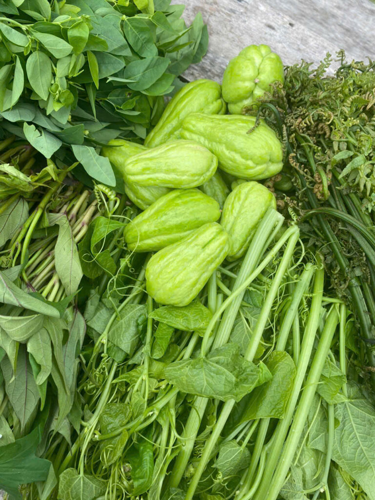 rau sạch Mộc Châu