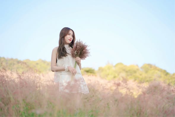 Mộc Châu mùa cỏ hồng